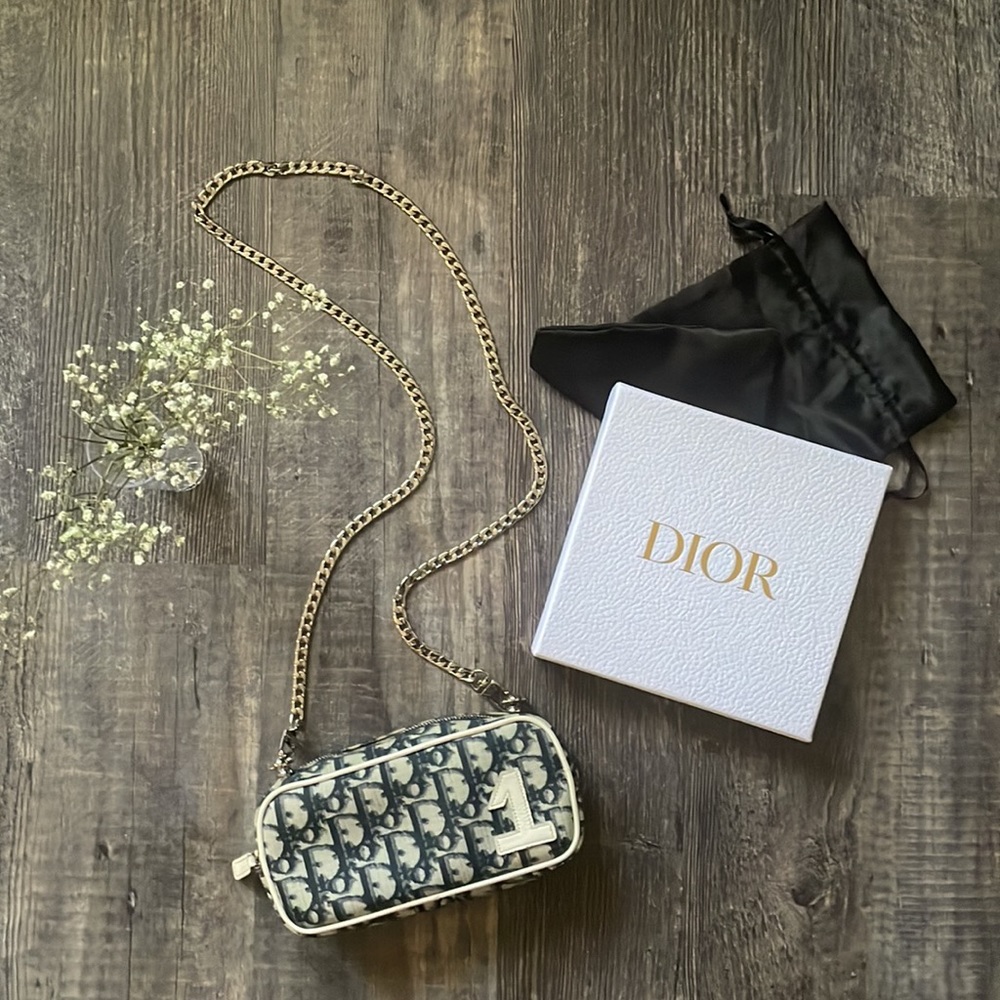 Dior Trotter Pouch